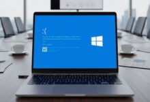 Logo de Windows 11