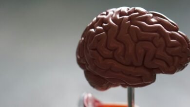 Imagen de un cerebro humano con una zona iluminada que representa la inflamación asociada al alzhéimer