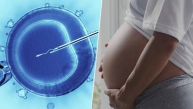 Ilustración de una célula ovocita con una proteína que la rejuvenece