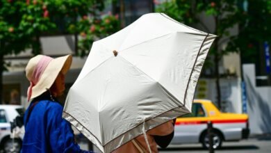 Persona con paraguas en día soleado
