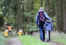 Persona realizando un paseo en un parque durante el atardecer
