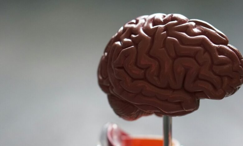 Ilustración del cerebro humano con áreas afectadas por el Alzheimer