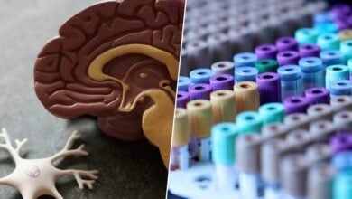 Imagen de un cerebro humano iluminado, simbolizando la esperanza en la lucha contra el alzhéimer