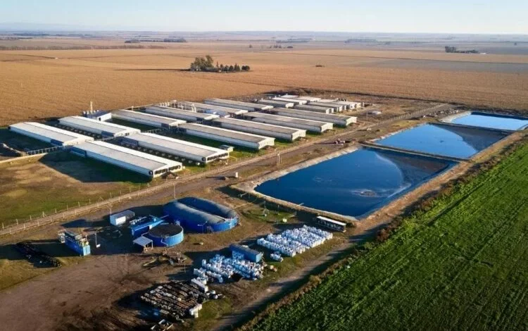 Planta de biogás en General Cabrera, Córdoba
