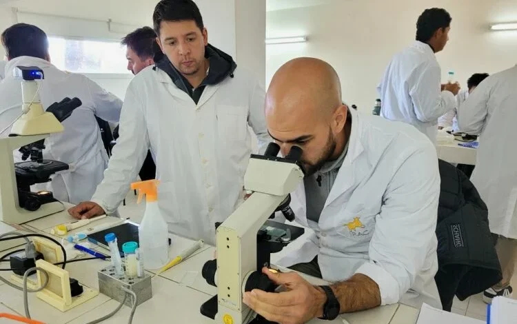 Imagen de un embrión bovino en un laboratorio de biotecnología