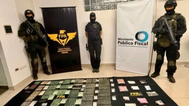 Gráfico que muestra la reducción en homicidios y robos en Córdoba