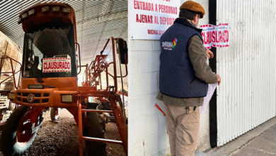 Imagen de un equipo de pulverización fitosanitaria en acción