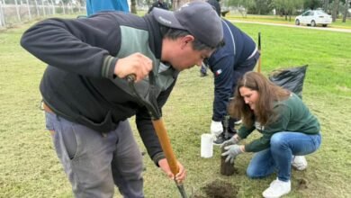 Imagen de la jornada de restauración ecológica en la central eléctrica Las Playas
