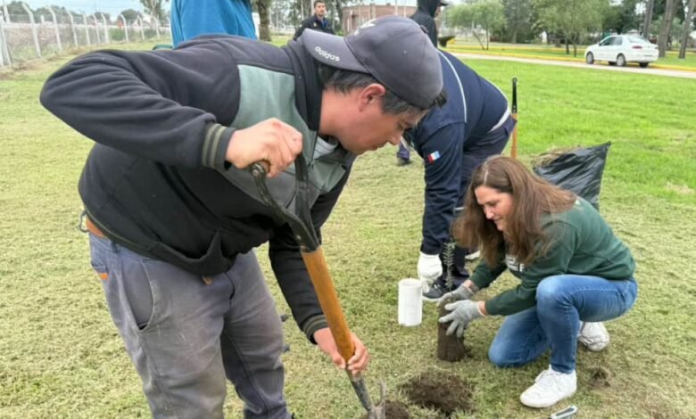 Imagen de la jornada de restauración ecológica en la central eléctrica Las Playas