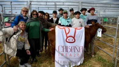 Estudiantes del IPEA Número 209 con sus ejemplares bovinos y ovinos en Agroactiva 2026