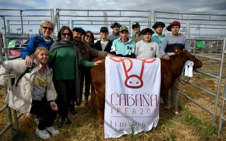 Estudiantes del IPEA Número 209 con sus ejemplares bovinos y ovinos en Agroactiva 2026