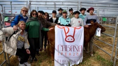 Estudiantes del IPEA N° 209 con sus ejemplares bovinos y ovinos en Agroactiva 2026