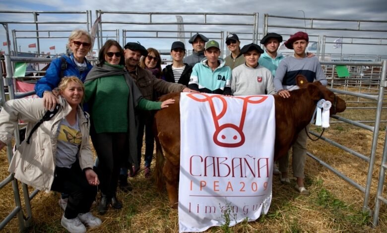 Estudiantes del IPEA N° 209 con sus ejemplares bovinos y ovinos en Agroactiva 2026