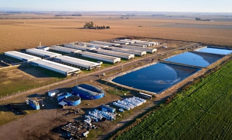 Imagen de la planta de biogás 3C Biogás S.A. en General Cabrera, Córdoba
