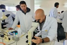 Imagen de un embrión bovino en un laboratorio