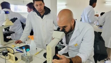 Imagen de un embrión bovino en un laboratorio