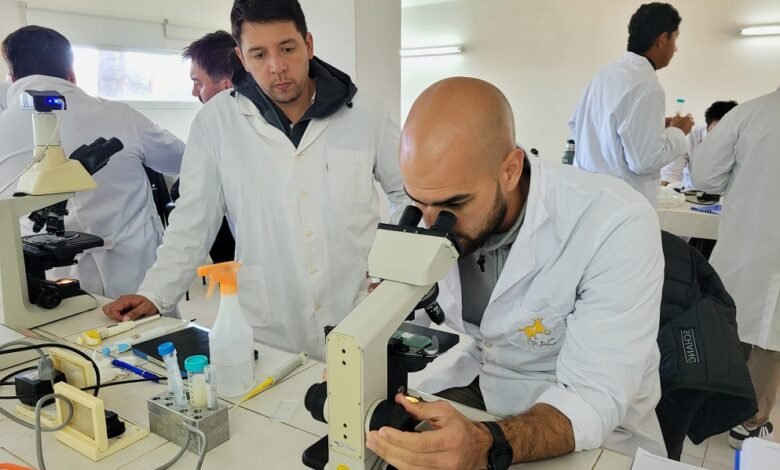 Imagen de un embrión bovino en un laboratorio
