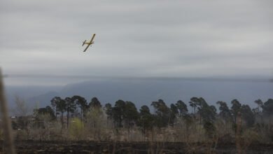 Incendio forestal en Córdoba