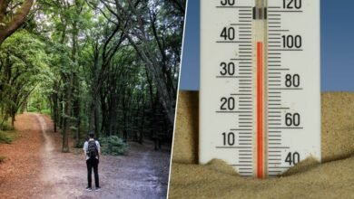 Persona sudando debido al calor extremo
