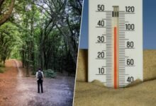 Persona sudando debido al calor