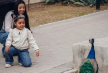 Familia disfrutando de un paseo en el Parque de la Biodiversidad
