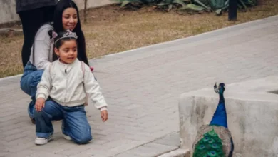 Familia disfrutando de un paseo en el Parque de la Biodiversidad
