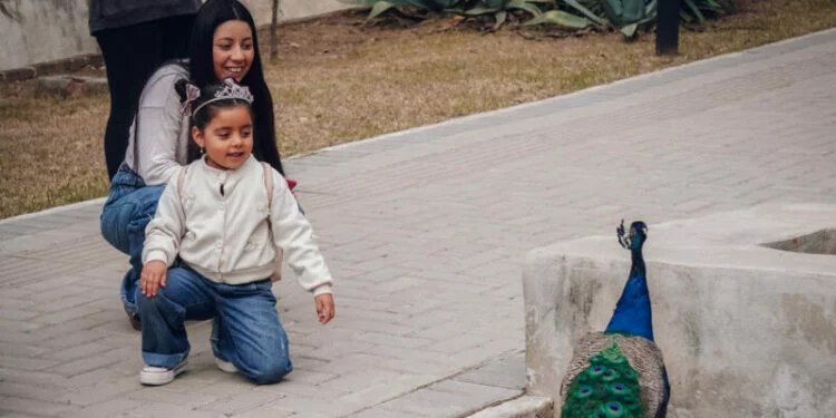 Familia disfrutando de un paseo en el Parque de la Biodiversidad