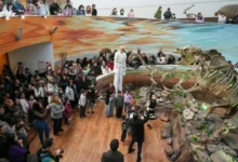 Exhibición de megafauna en el Museo de Ciencias Naturales