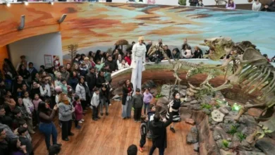 Exhibición de megafauna en el Museo de Ciencias Naturales