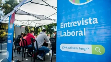 Imagen de una persona trabajando en una oficina, con un título que dice EMPLEO +26