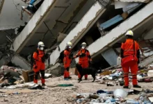 Brigadistas cordobeses trabajando en la zona afectada por el terremoto en Venezuela
