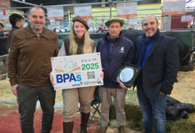 Reconocimiento a instituciones participantes en el Programa de Buenas Prácticas Agropecuarias
