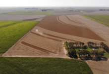 Cultivos verdes y saludables en Córdoba