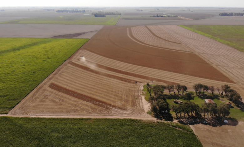 Cultivos verdes y saludables en Córdoba