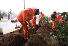 Imagen de los nuevos espacios verdes en Villa El Libertador, Córdoba