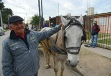 Carreros y recicladores en protesta por el reciclaje en Córdoba