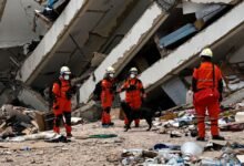 Brigadistas cordobeses trabajando en la zona afectada por el terremoto en Venezuela