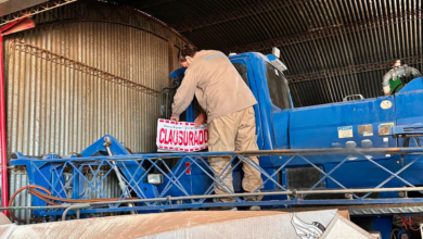 Control de fitosanitarios en Dalmacio Vélez Sarsfield