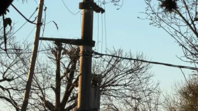 Imagen de un poste de electricidad en el Barrio Parque San Antonio