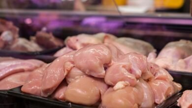 Imagen de un pollo amarillo en un corral
