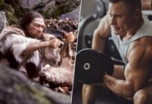 Imágenes de neandertales y esquemas de su musculatura