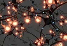 Imágen de una persona joven con Alzheimer