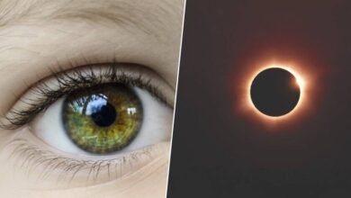 Persona observando un eclipse solar con gafas de protección