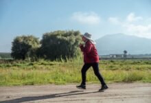 Persona caminando en un parque con un perro
