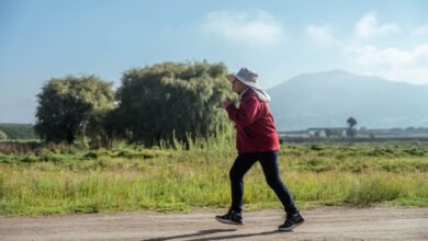 Persona caminando en un parque con un perro