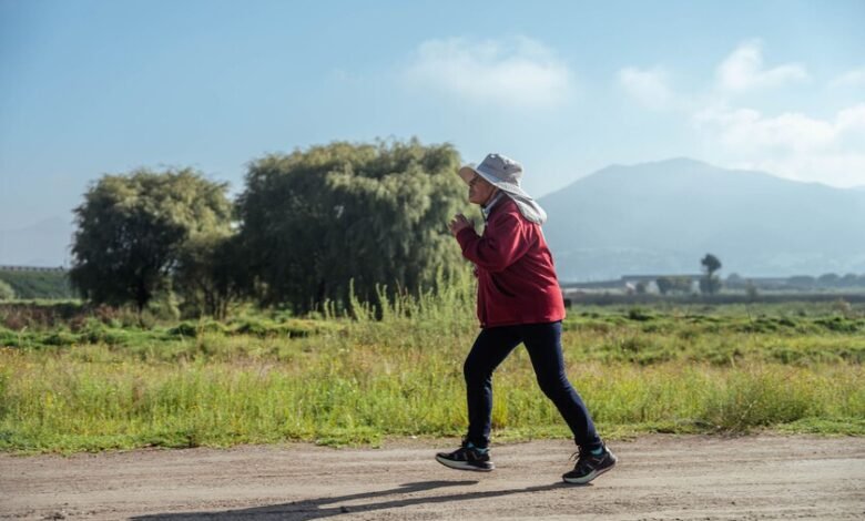 Persona caminando en un parque con un perro