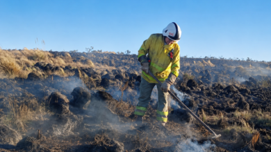 Imagen de un incendio forestal en Córdoba