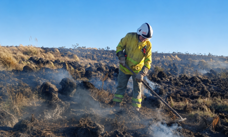 Incendio forestal en Córdoba: bomberos en acción