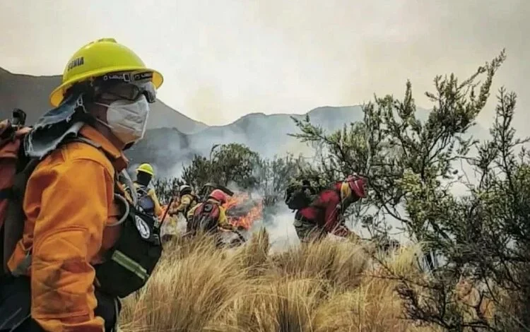 Incendio forestal en Punilla con aviones hidrantes en acción