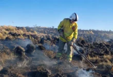 Incendio forestal en Córdoba